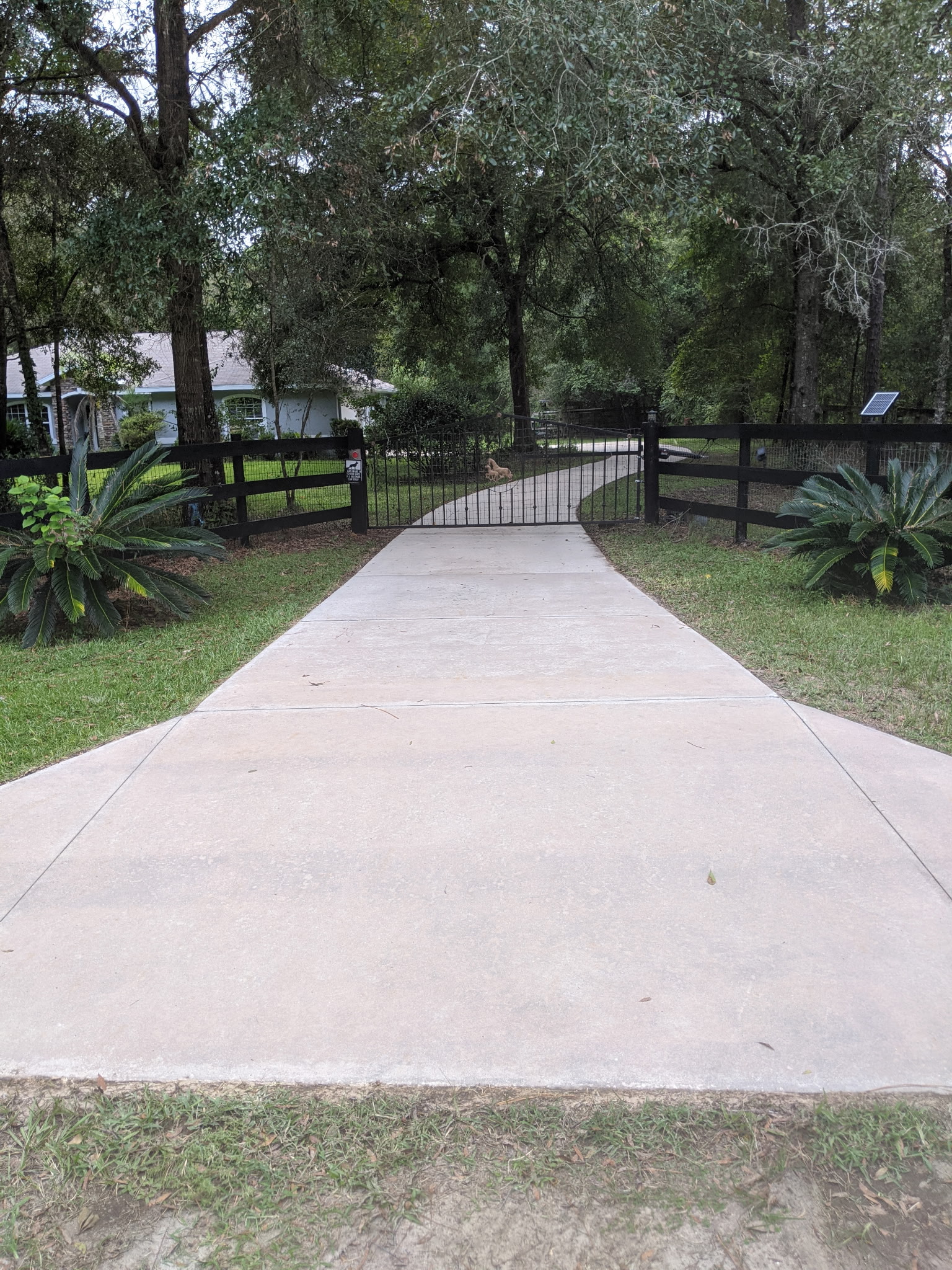 Pressure washed surface in Central Florida