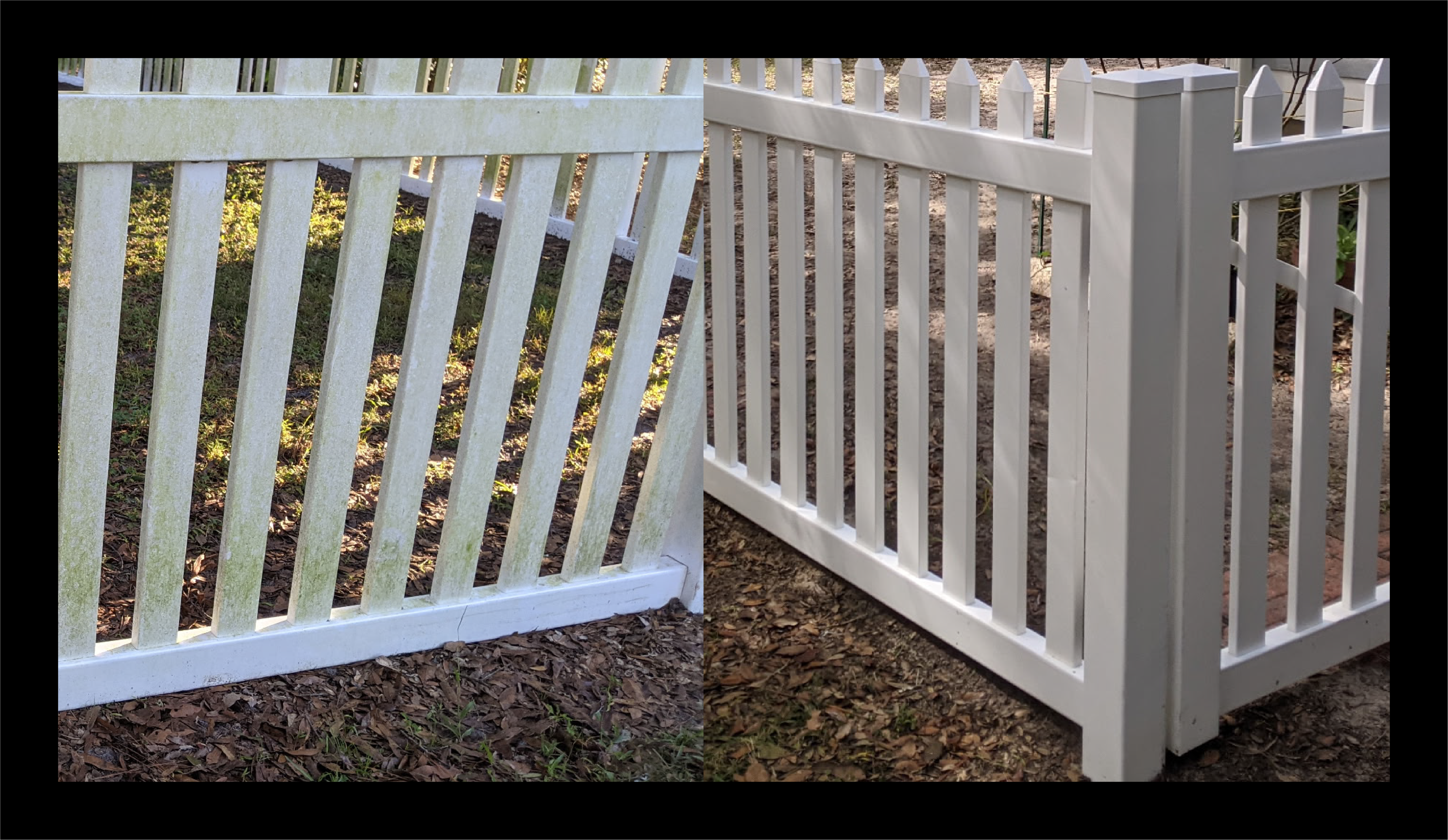 Cleaned fence in Central Florida